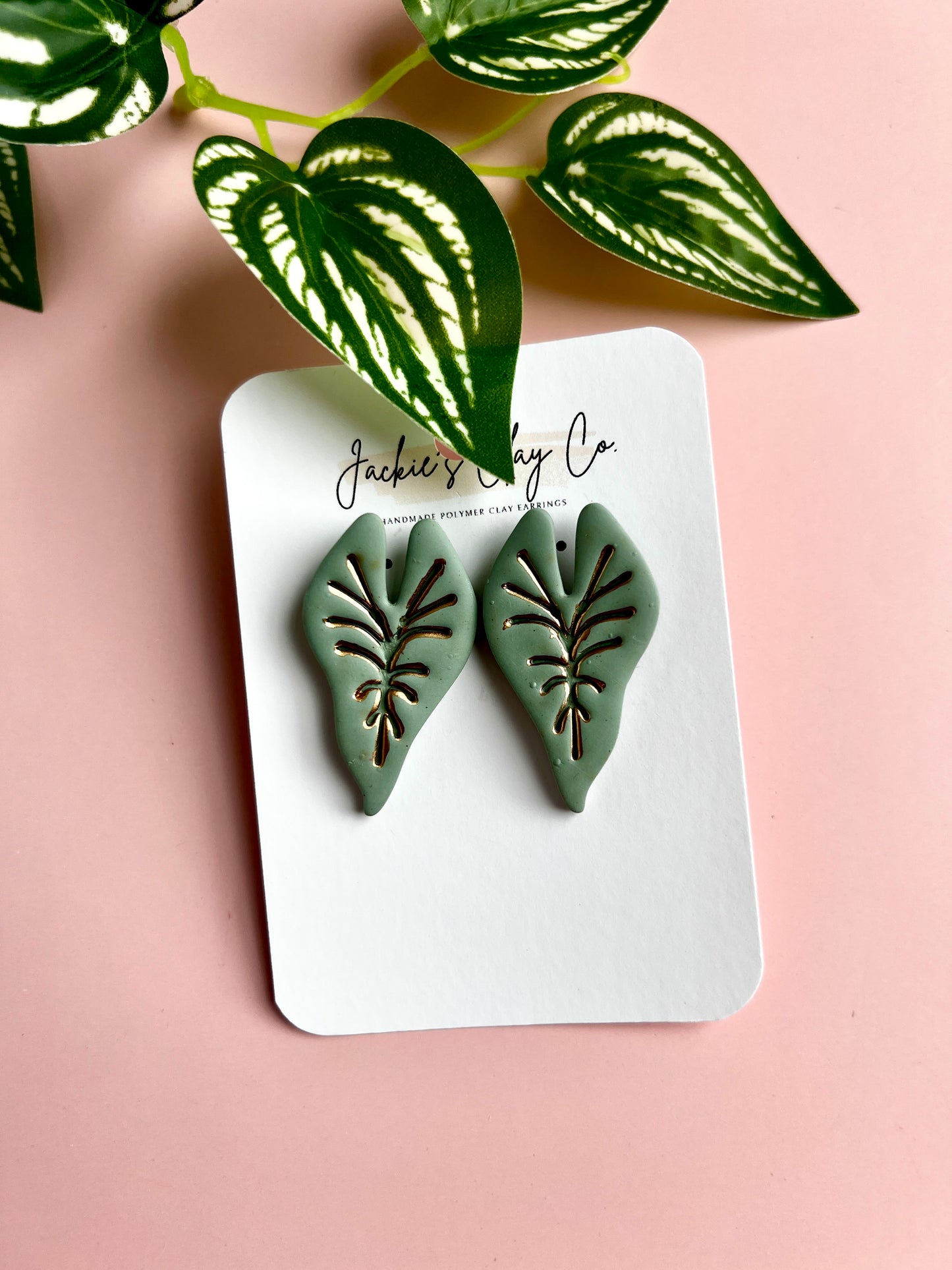 Philodendron