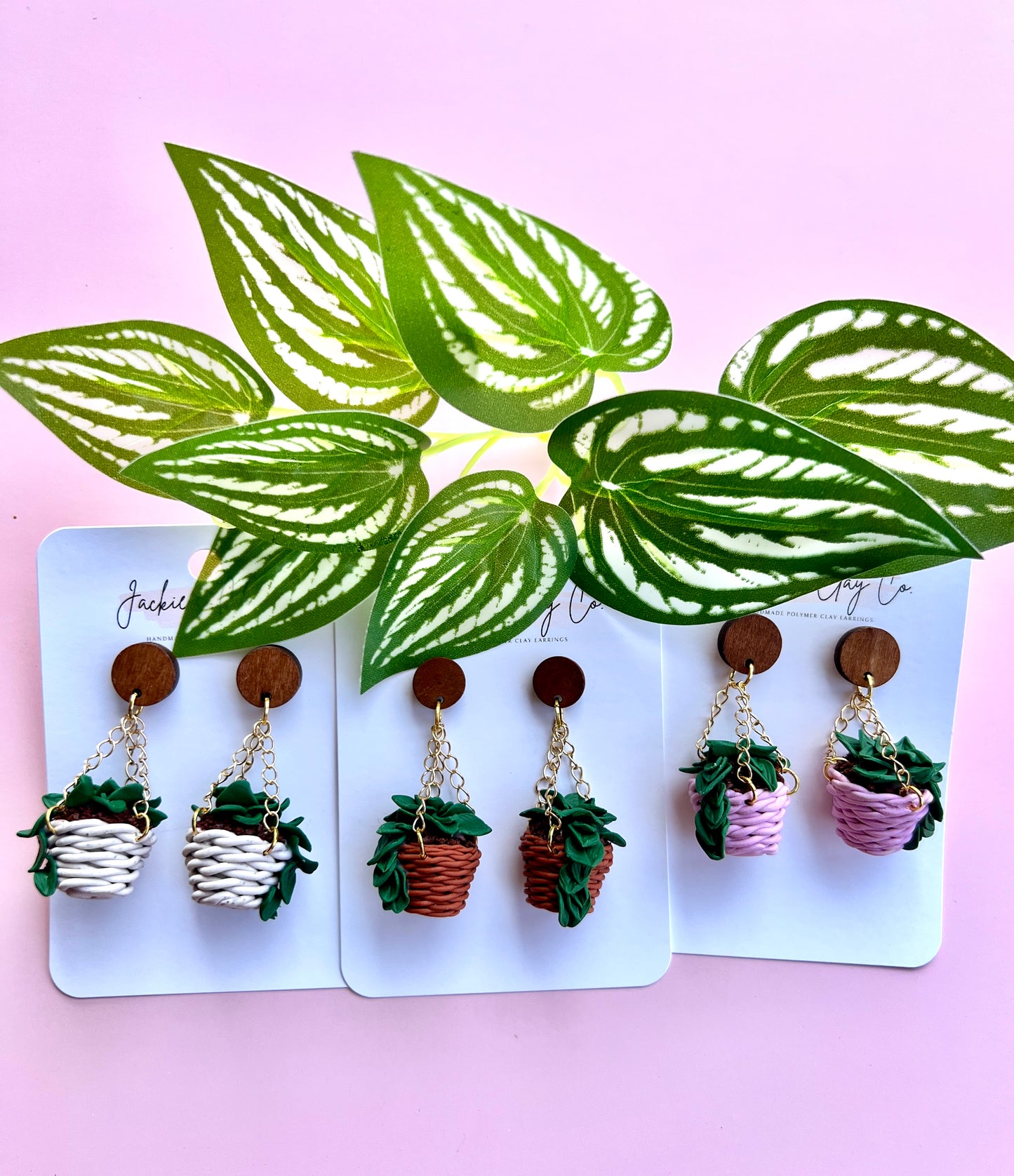 Hanging Pothos Plant