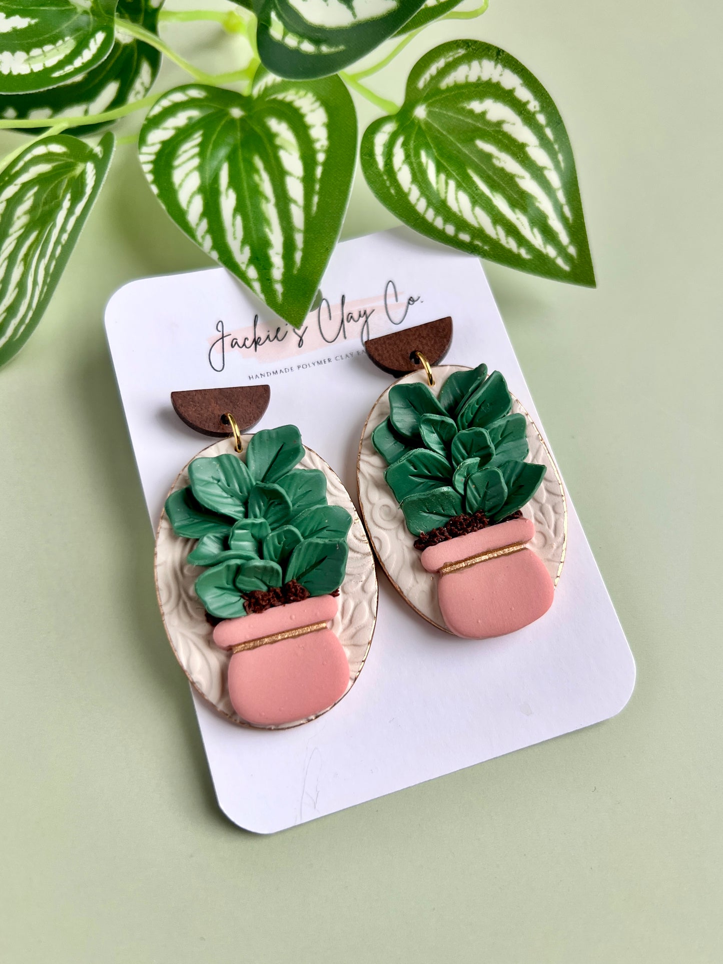 Fiddle leaf in pink pot