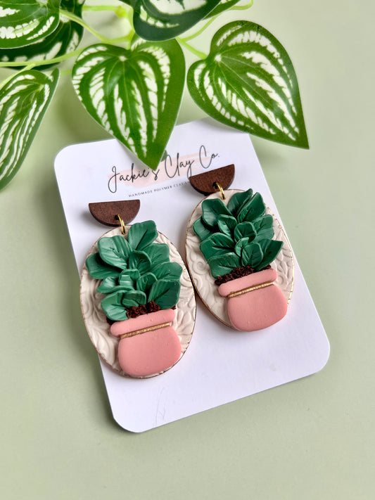 Fiddle leaf in pink pot