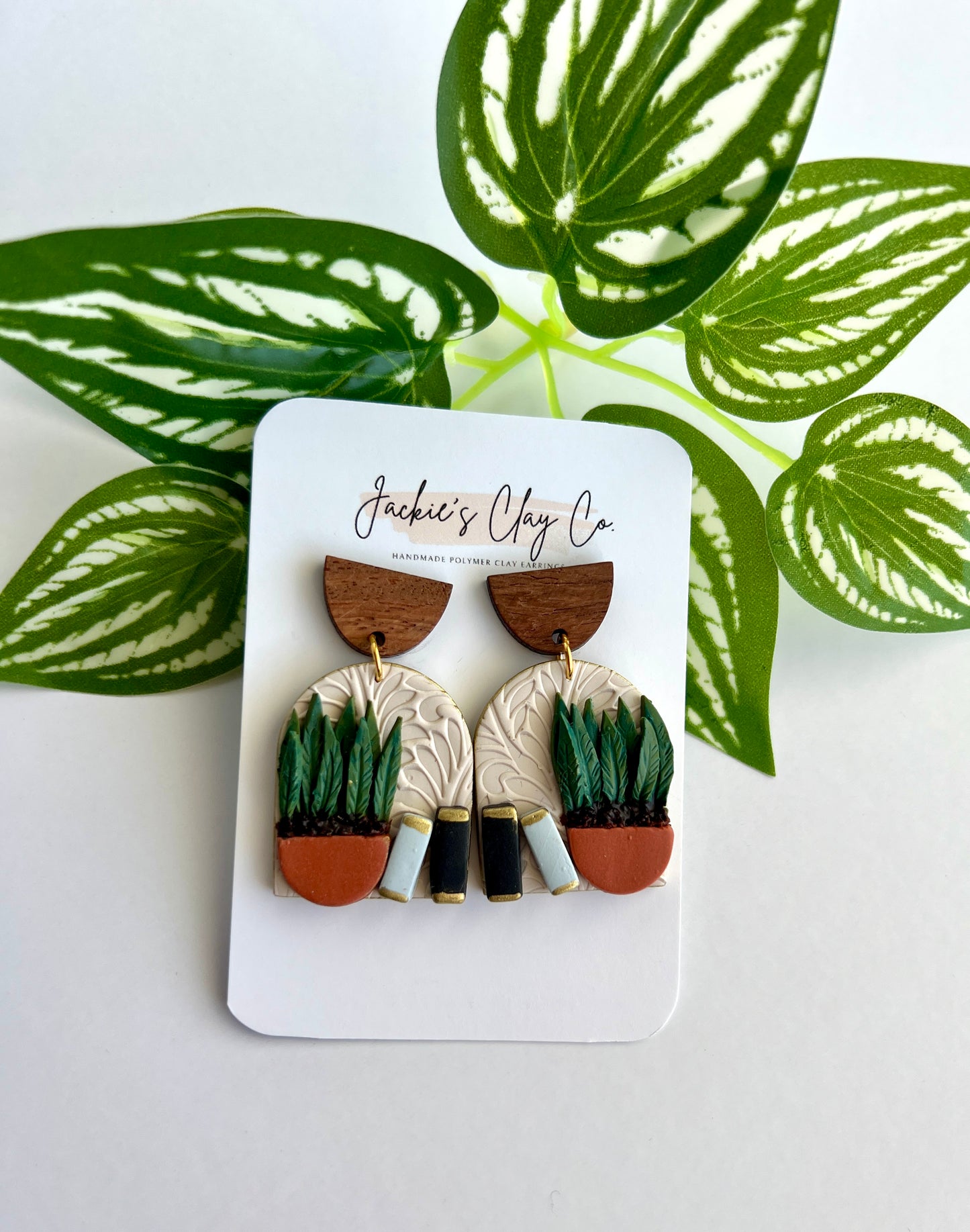 Snake Plant & Books #4