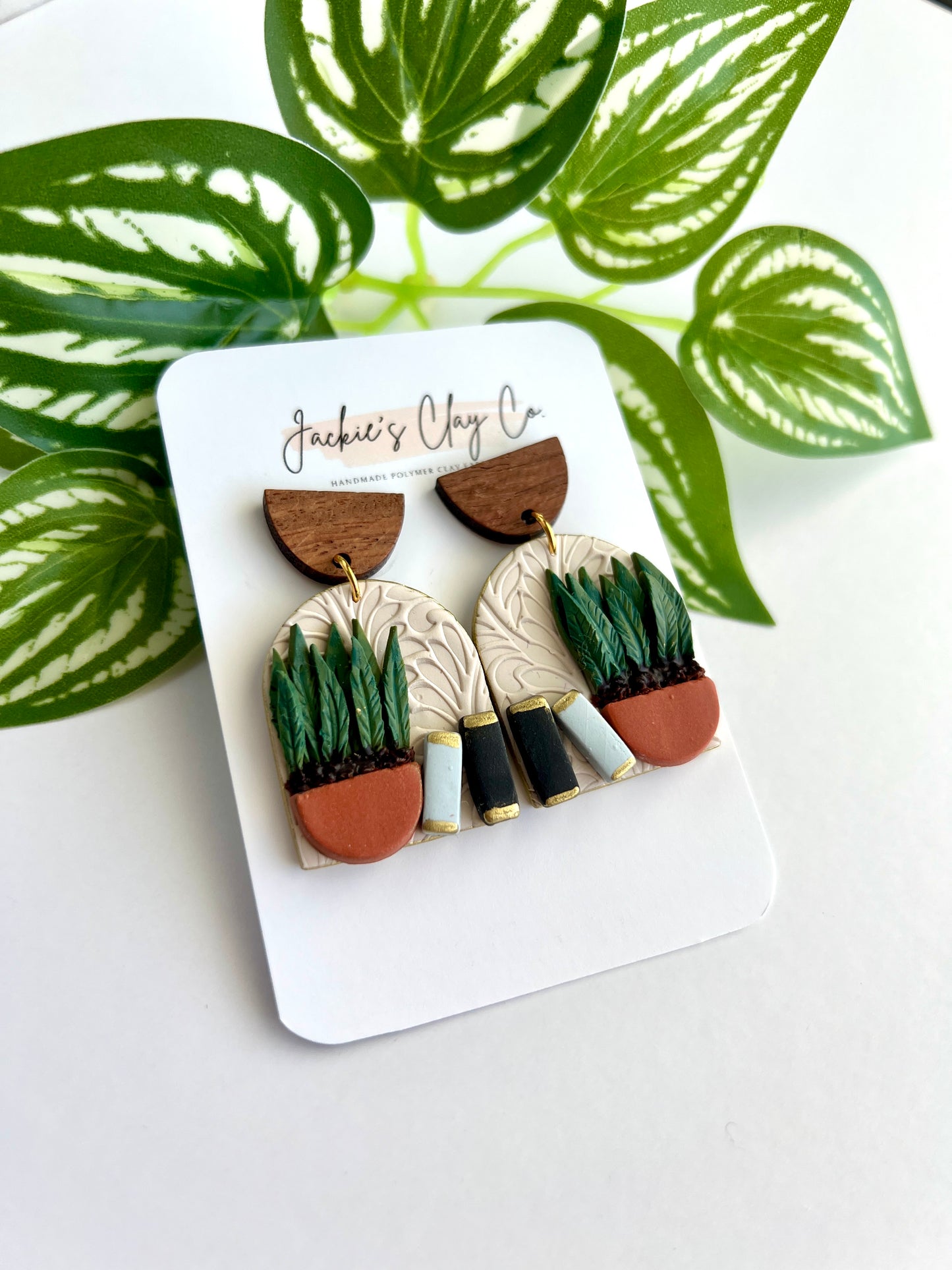 Snake Plant & Books #4
